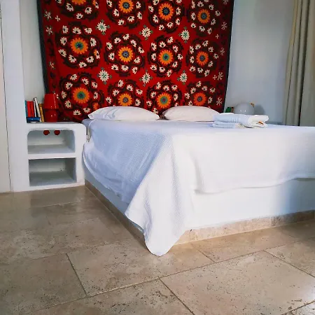 Karavostasi Sea Views House *